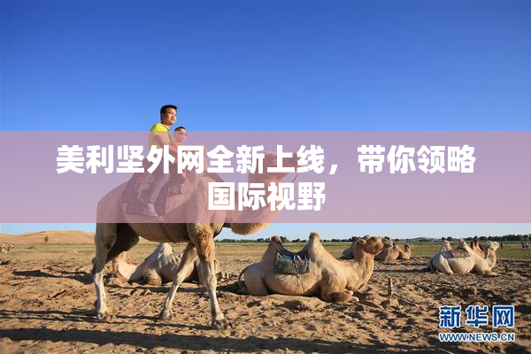 美利坚外网全新上线，带你领略国际视野