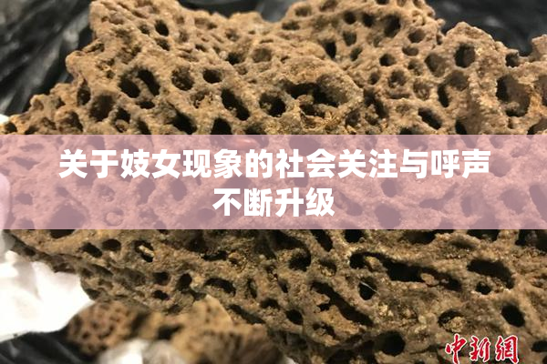 关于妓女现象的社会关注与呼声不断升级