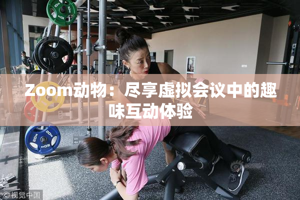 Zoom动物：尽享虚拟会议中的趣味互动体验