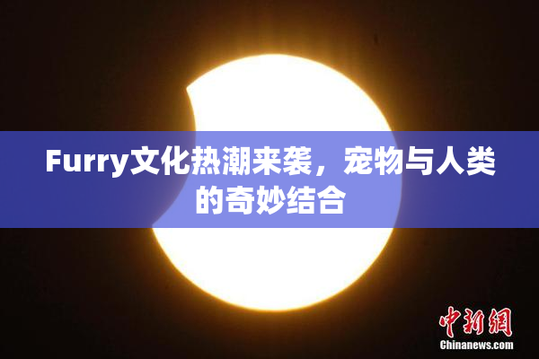 Furry文化热潮来袭，宠物与人类的奇妙结合
