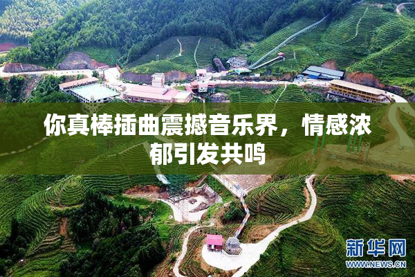 你真棒插曲震撼音乐界，情感浓郁引发共鸣