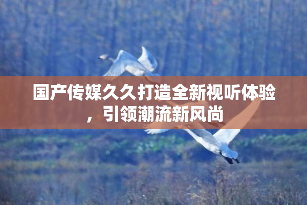 国产传媒久久打造全新视听体验，引领潮流新风尚