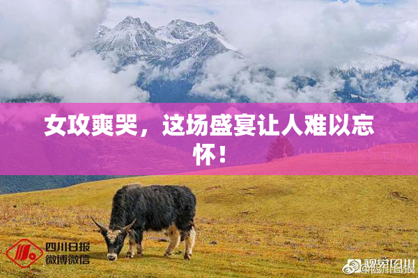 女攻爽哭，这场盛宴让人难以忘怀！