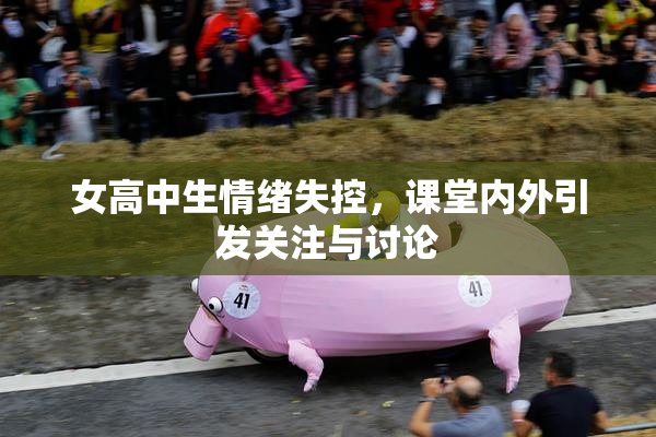 女高中生情绪失控，课堂内外引发关注与讨论
