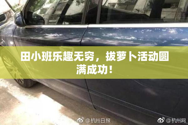田小班乐趣无穷，拔萝卜活动圆满成功！