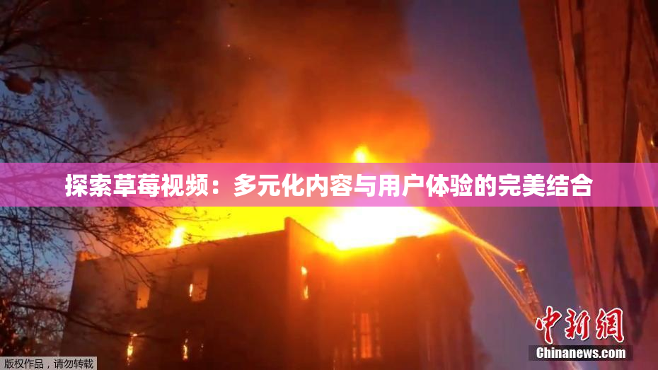 探索草莓视频：多元化内容与用户体验的完美结合