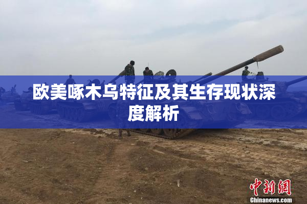 欧美啄木乌特征及其生存现状深度解析