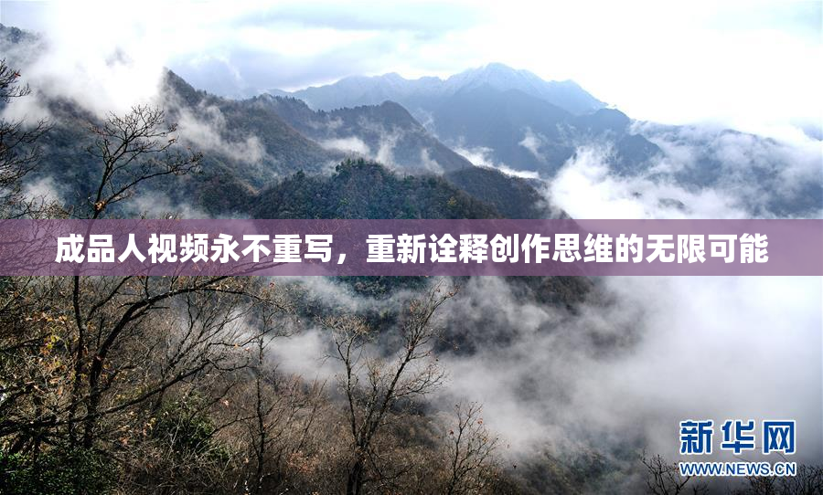 成品人视频永不重写，重新诠释创作思维的无限可能