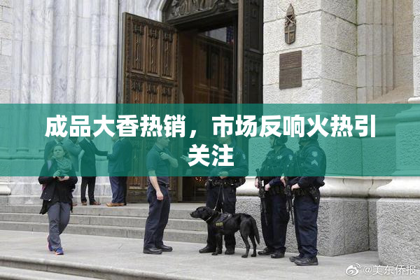 成品大香热销，市场反响火热引关注