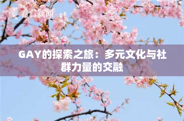 GAY的探索之旅：多元文化与社群力量的交融