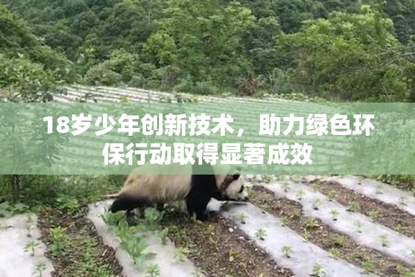 18岁少年创新技术，助力绿色环保行动取得显著成效