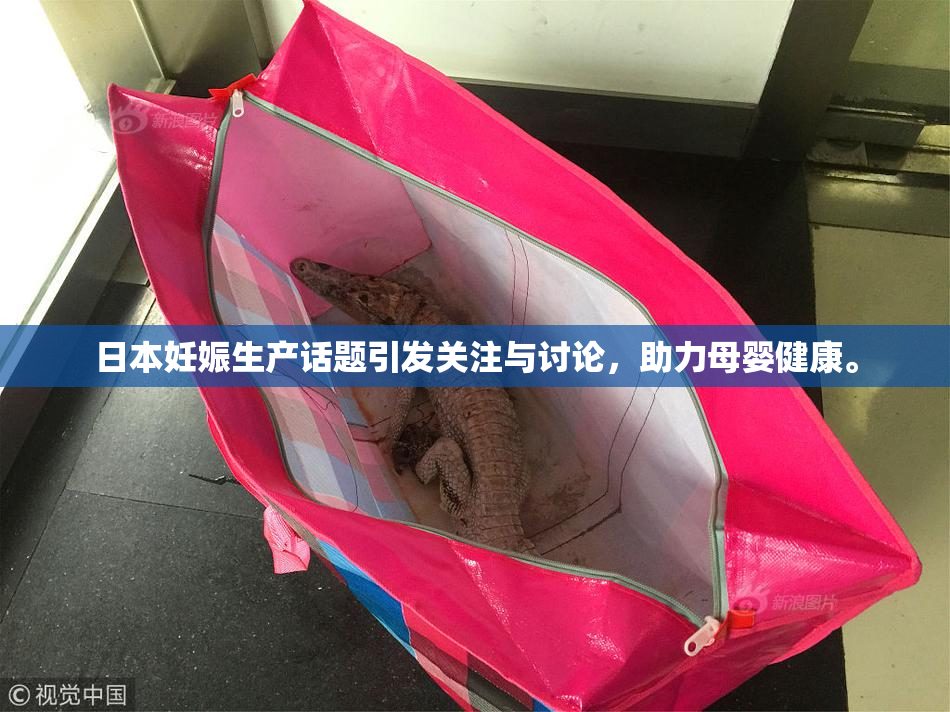 日本妊娠生产话题引发关注与讨论，助力母婴健康。