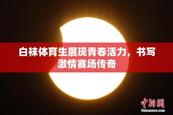 白袜体育生展现青春活力，书写激情赛场传奇