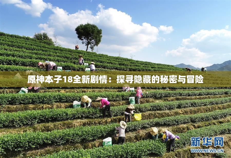 原神本子18全新剧情：探寻隐藏的秘密与冒险
