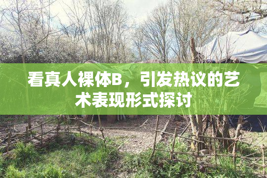 看真人裸体B，引发热议的艺术表现形式探讨