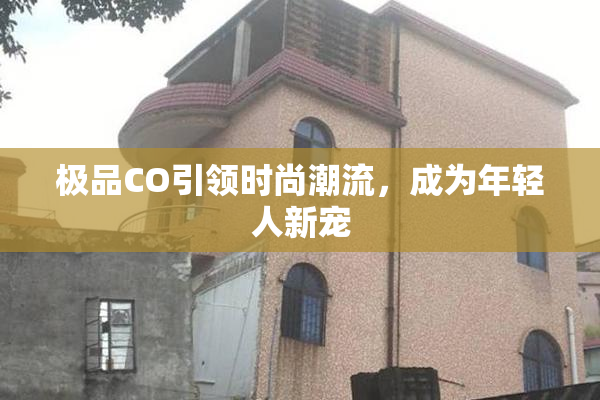 极品CO引领时尚潮流，成为年轻人新宠