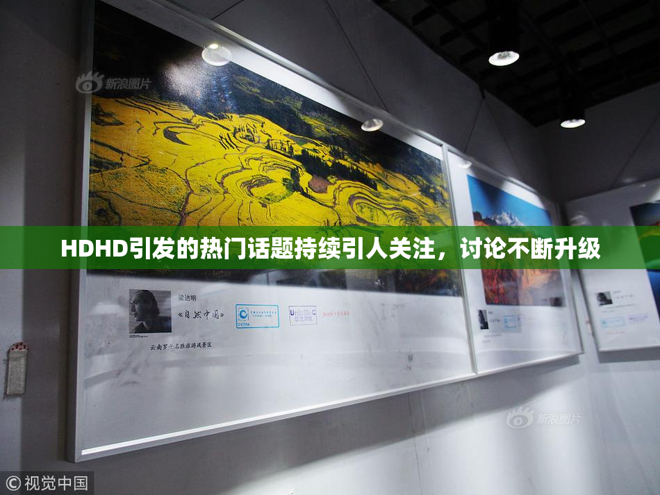 HDHD引发的热门话题持续引人关注，讨论不断升级