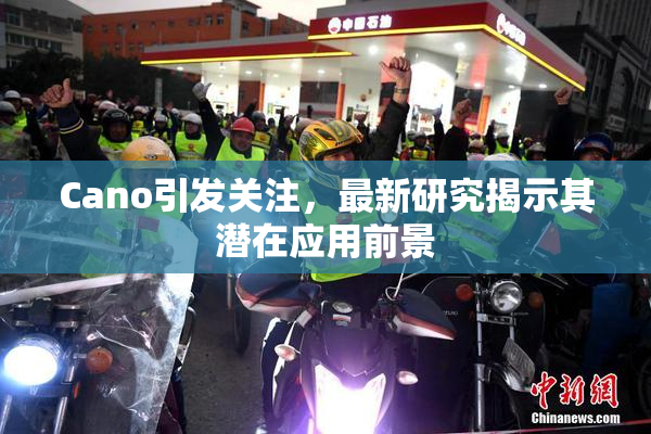 Cano引发关注，最新研究揭示其潜在应用前景