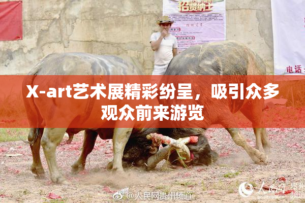 X-art艺术展精彩纷呈，吸引众多观众前来游览