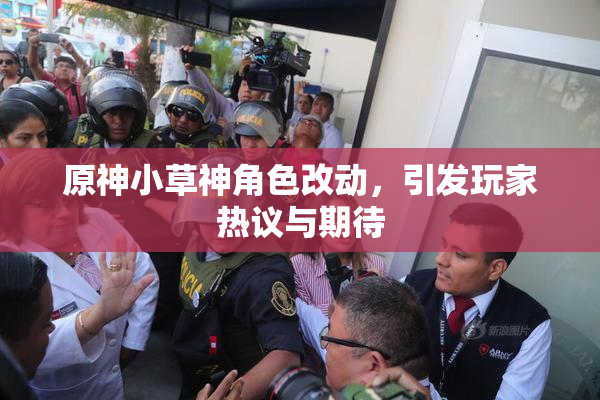 原神小草神角色改动，引发玩家热议与期待