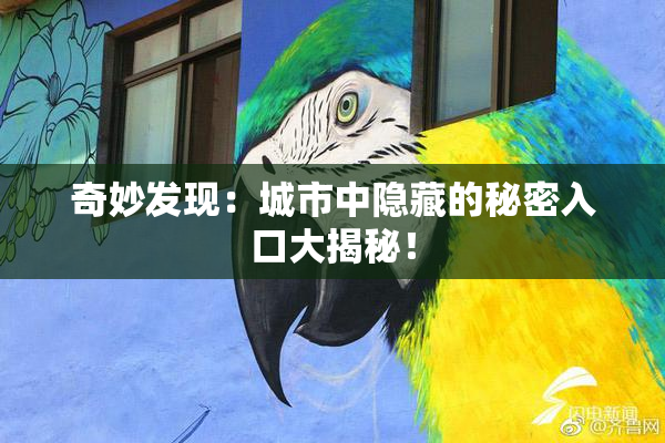 奇妙发现：城市中隐藏的秘密入口大揭秘！