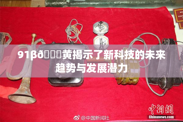 91β🔞黄揭示了新科技的未来趋势与发展潜力
