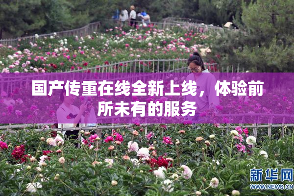 国产传重在线全新上线，体验前所未有的服务