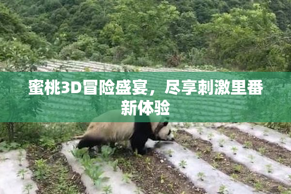 蜜桃3D冒险盛宴，尽享刺激里番新体验