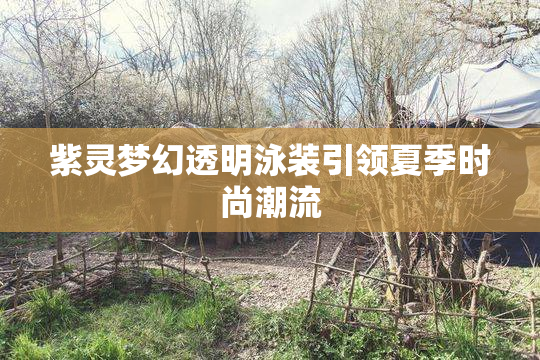 紫灵梦幻透明泳装引领夏季时尚潮流