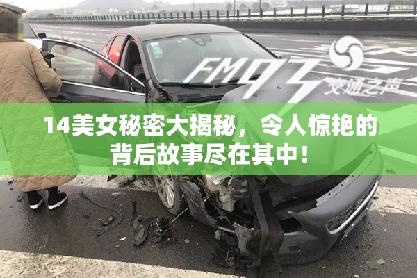 14美女秘密大揭秘，令人惊艳的背后故事尽在其中！