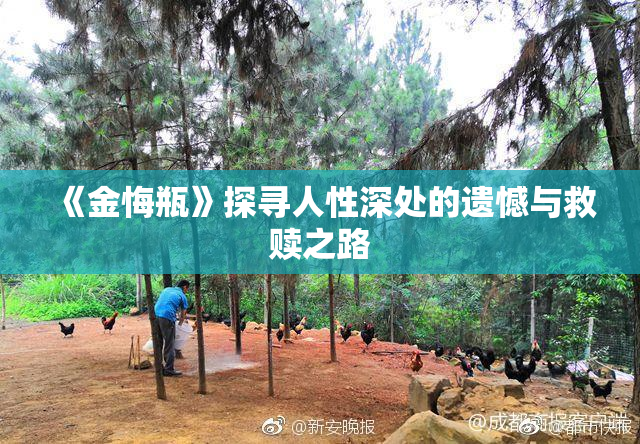 《金悔瓶》探寻人性深处的遗憾与救赎之路