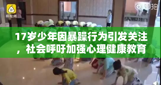 17岁少年因暴躁行为引发关注，社会呼吁加强心理健康教育