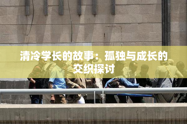 清冷学长的故事：孤独与成长的交织探讨