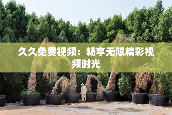 久久免费视频：畅享无限精彩视频时光