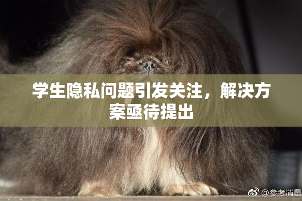 学生隐私问题引发关注，解决方案亟待提出