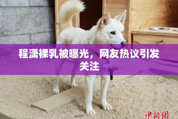 程潇裸乳被曝光，网友热议引发关注