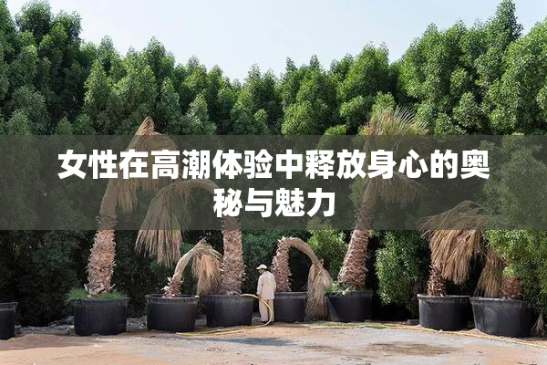 女性在高潮体验中释放身心的奥秘与魅力