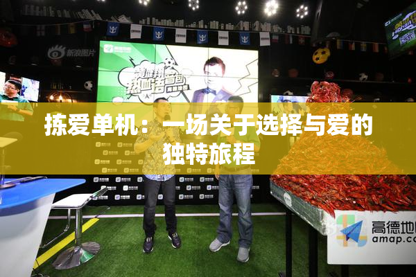 拣爱单机：一场关于选择与爱的独特旅程