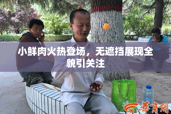 小鲜肉火热登场，无遮挡展现全貌引关注