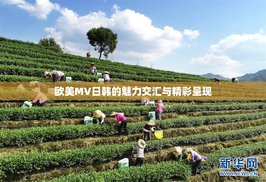 欧美MV日韩的魅力交汇与精彩呈现