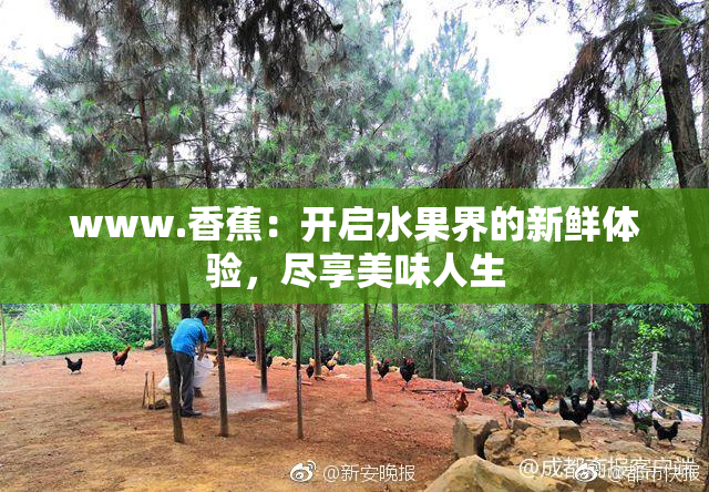 www.香蕉：开启水果界的新鲜体验，尽享美味人生