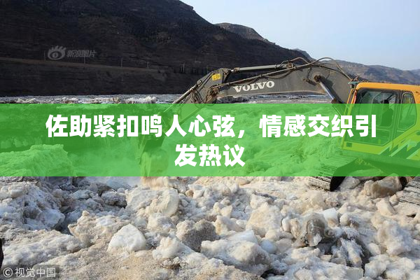 佐助紧扣鸣人心弦，情感交织引发热议