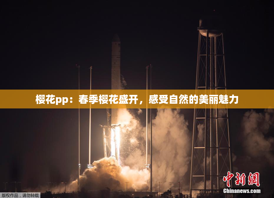 樱花pp：春季樱花盛开，感受自然的美丽魅力