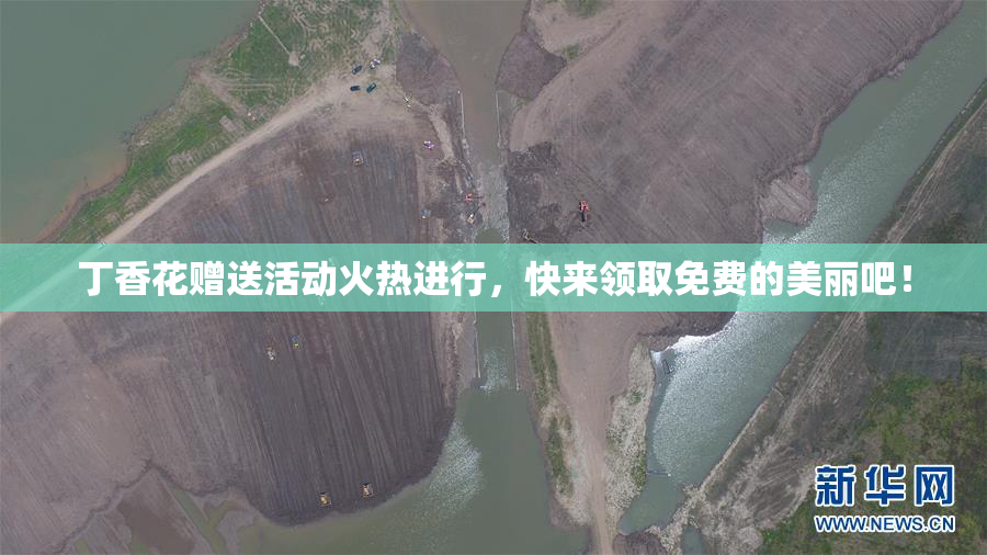 丁香花赠送活动火热进行，快来领取免费的美丽吧！