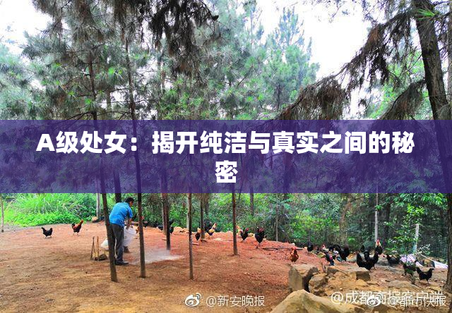 A级处女：揭开纯洁与真实之间的秘密