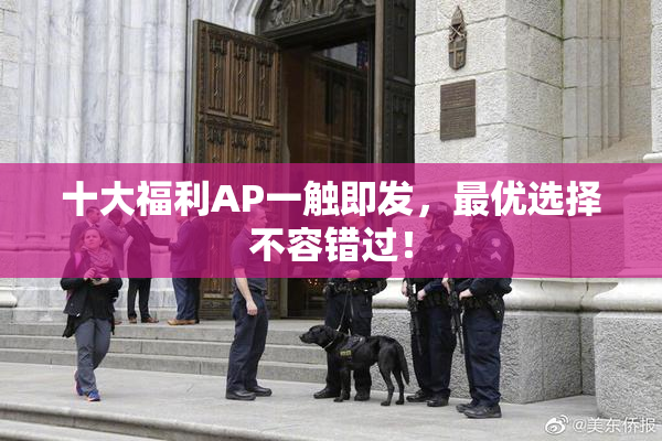 十大福利AP一触即发，最优选择不容错过！