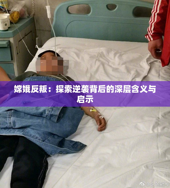 嫦娥反叛：探索逆袭背后的深层含义与启示