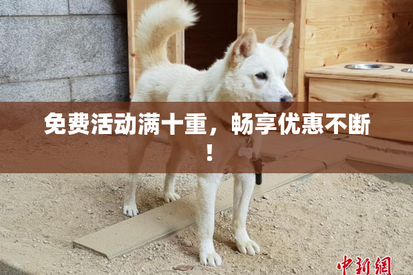 免费活动满十重，畅享优惠不断！