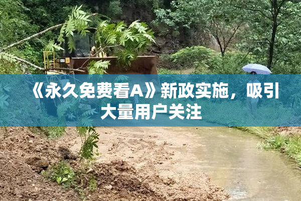 《永久免费看A》新政实施，吸引大量用户关注
