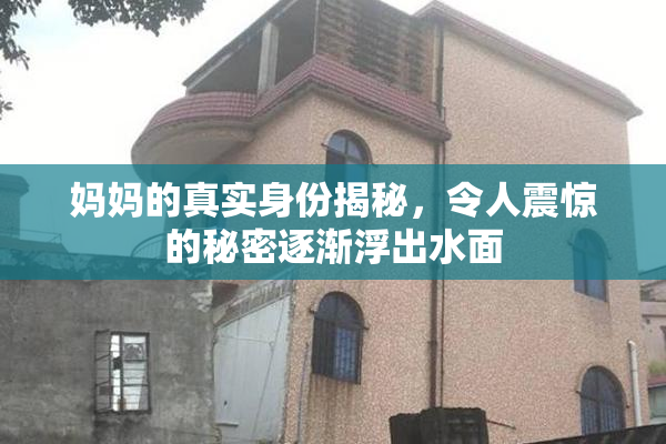 妈妈的真实身份揭秘，令人震惊的秘密逐渐浮出水面